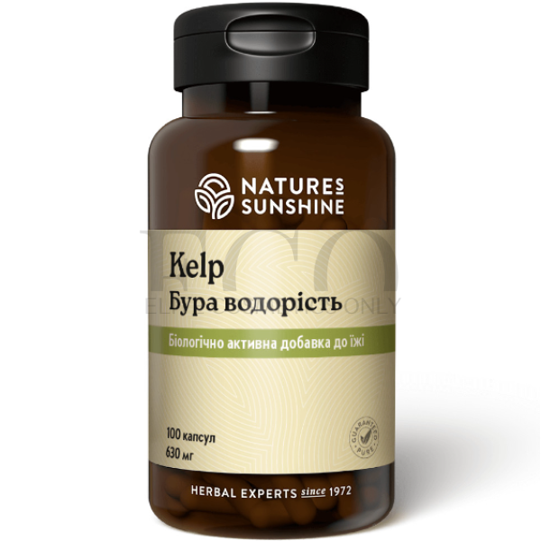 Nature's Sunshine Products Kelp Brown Kelp, 100 pcs