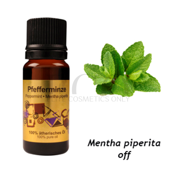 Essential oil 100% Mint STYX Naturcosmetic Pure Essential Oil Pfefferminze, 10 ml