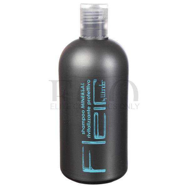 Protective revitalizing shampoo Minersal Alan Jey Shampoo Minersal, 500 ml