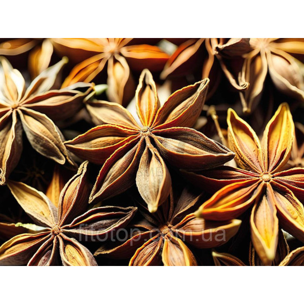 Star anise glycerin extract 1l
