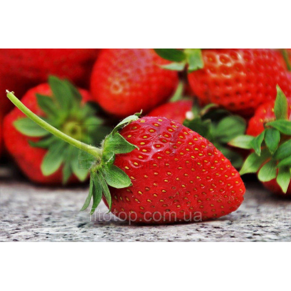 Strawberry glycerin extract 1l