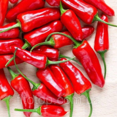 Chili pepper glycerin extract 5l